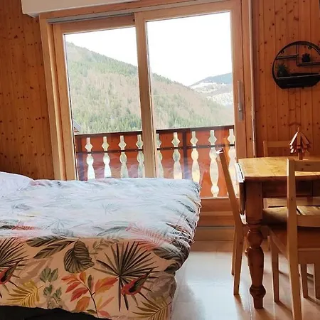 Apartment Chez Nathalie - Cosy- Multi Pass Offert- Draps, Serviettes Et Menage Compris *