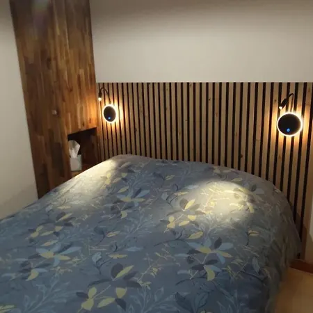 Apartment Chez Nathalie - Cosy- Multi Pass Offert- Draps, Serviettes Et Menage Compris *